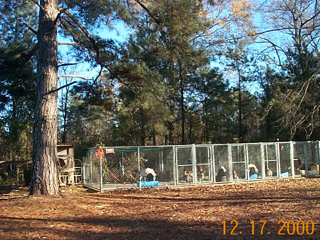 Timber Kennels pictured in December 2000