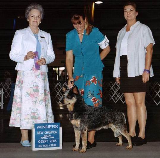 Leo AKC Championship with Laura Piles at Macon Kennel Club 2005