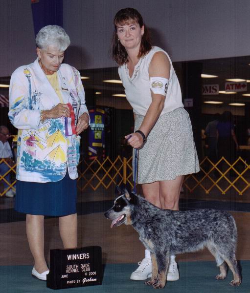 Winners at South Dade Kennel Club